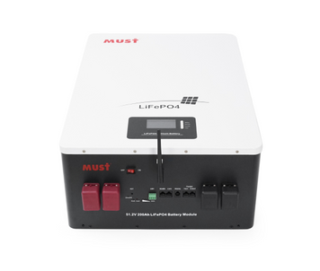 Акумуляторна батарея Must LiFePO4 LP16-48200 51.2V 200Ah LP16-48200 фото