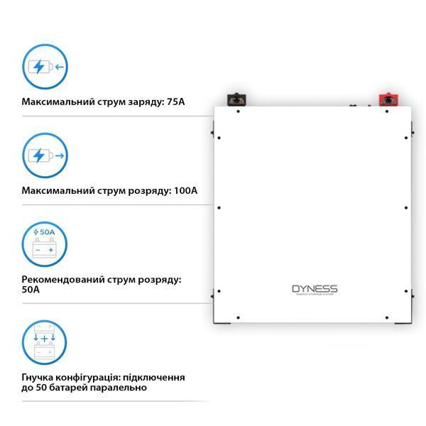 Акумуляторна батарея Dyness DL5.0C 51.2V 100Ah LiFePO4 DL5.0C фото