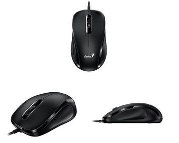 Мышь Genius DX-101, USB-A, черный 31010026400 фото