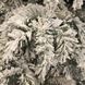 Вінок &oslash; 45 см декоративний Dinsmore Frosted зелений зі снігом 8718861289022 фото 2
