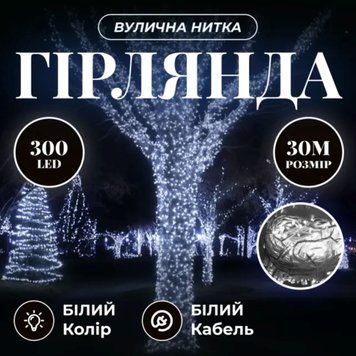Гірлянда Нитка вулична 30 м 300 LED білий провід Білий CF300L30MWW CF300L30MWW фото