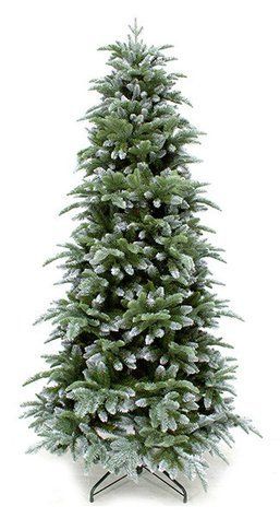 Ялина 185 см з інієм, Abies Nordmann 8712799279667 фото