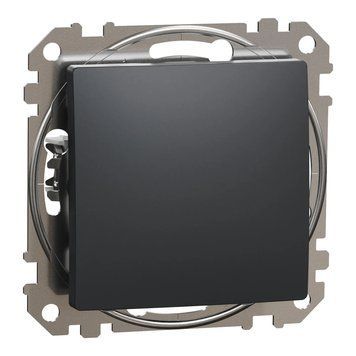Schneider Electric Sedna Design & Elements SDD114101 Вимикач 99-00021769 фото